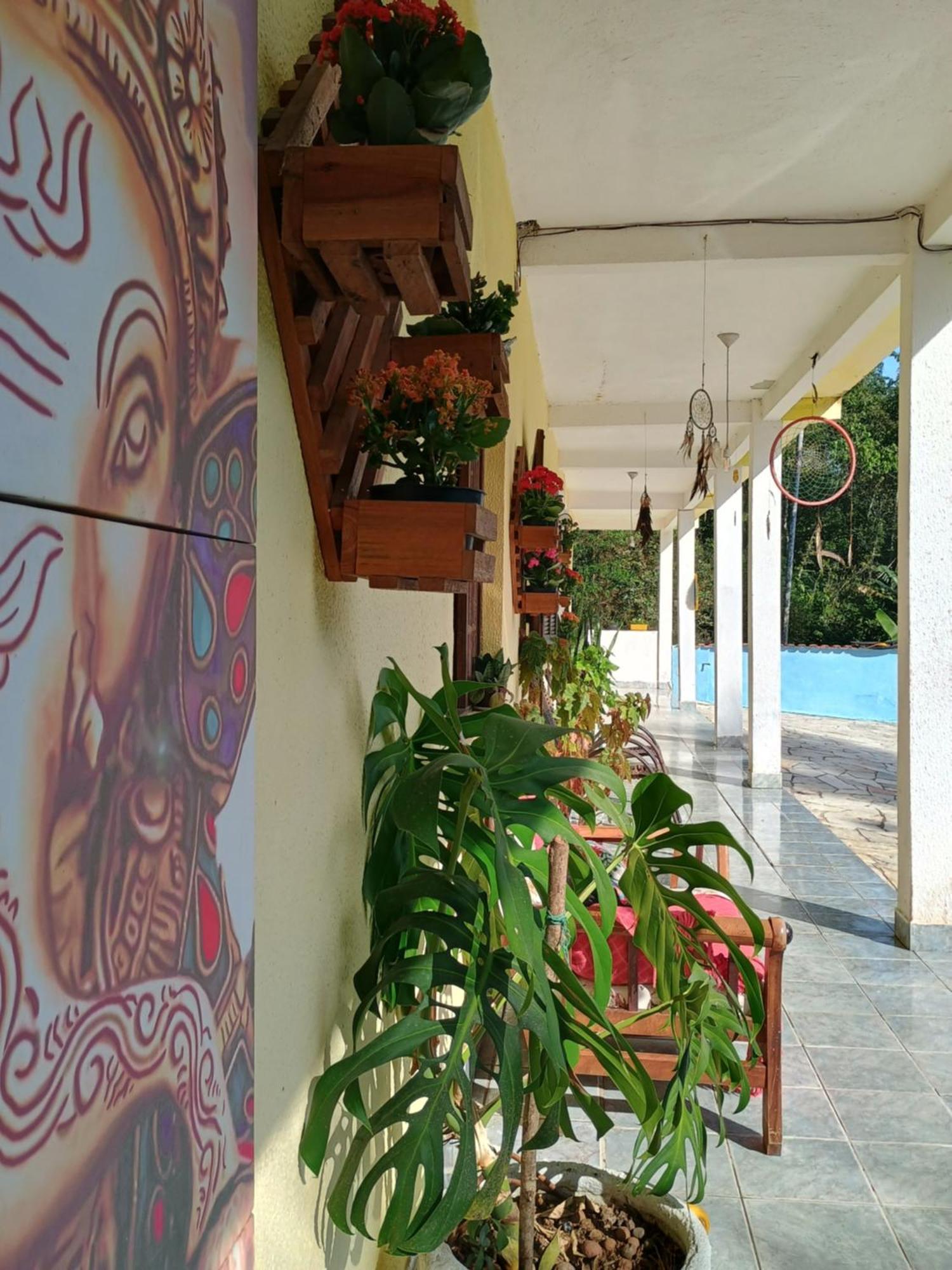 Renovo Beija-Flor Hostel E Espaco Terapeutico เบอร์ทีโอกา ภายนอก รูปภาพ