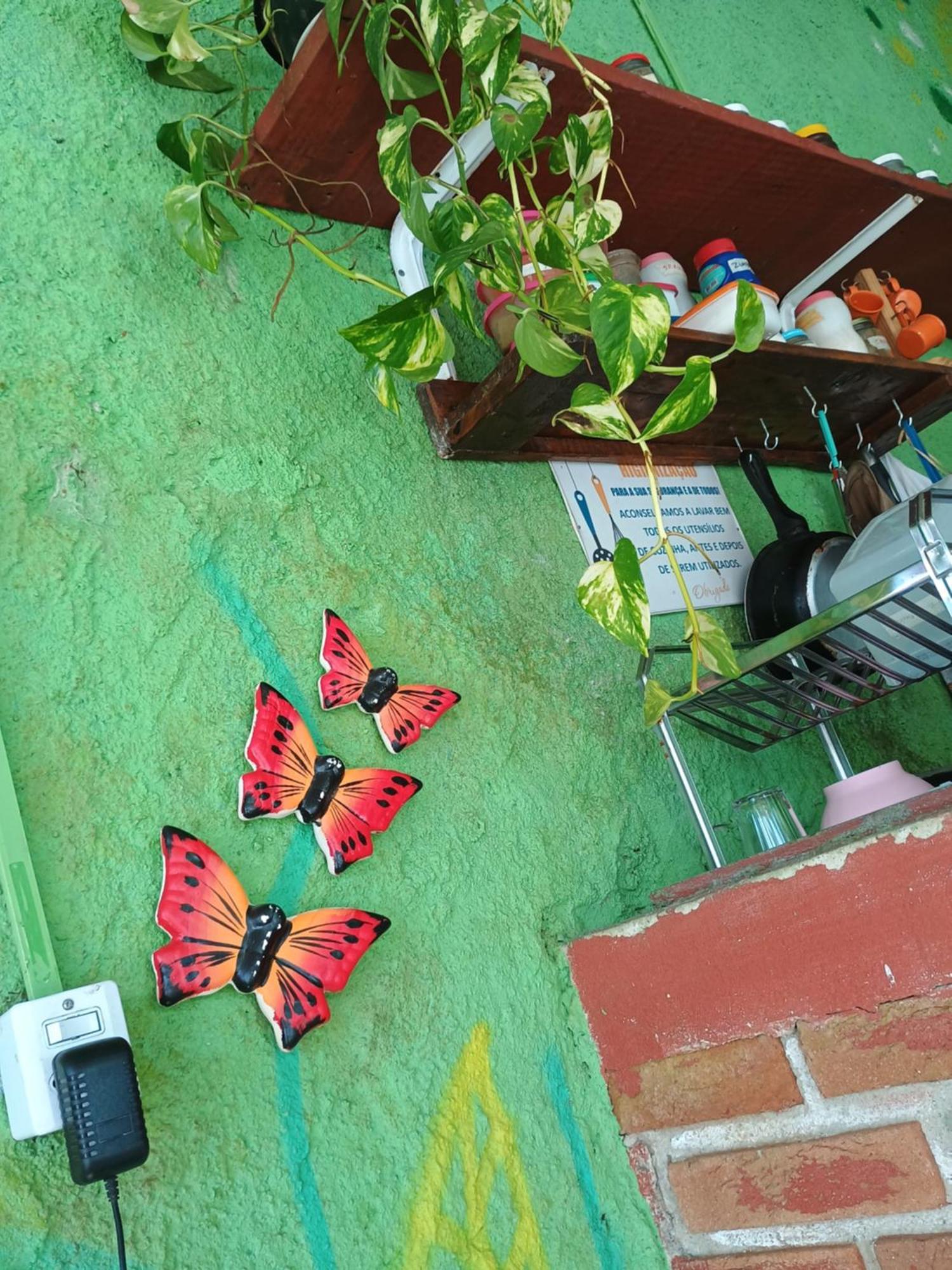 Renovo Beija-Flor Hostel E Espaco Terapeutico เบอร์ทีโอกา ภายนอก รูปภาพ