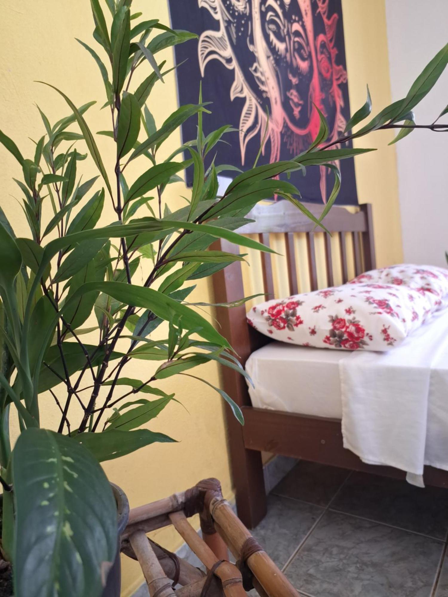 Renovo Beija-Flor Hostel E Espaco Terapeutico เบอร์ทีโอกา ภายนอก รูปภาพ