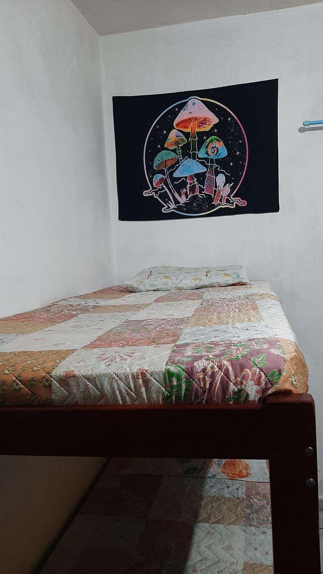 Renovo Beija-Flor Hostel E Espaco Terapeutico เบอร์ทีโอกา ภายนอก รูปภาพ